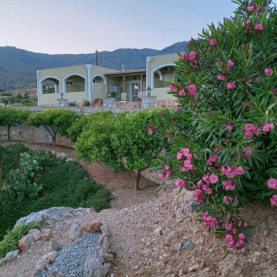 Souda Panorama Daire Plakias Dış mekan fotoğraf